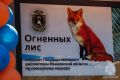 Огненные лисы, настоящие спасатели, безопасные подарки и многое другое