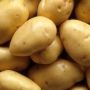 Картофель Смак: золотая мякоть и секреты успешного выращивания