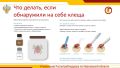 С начала сезона по поводу укусов клещей жители Ивановской области обратились 1400 раз