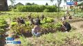 ��������� ������ � ����� - � �������