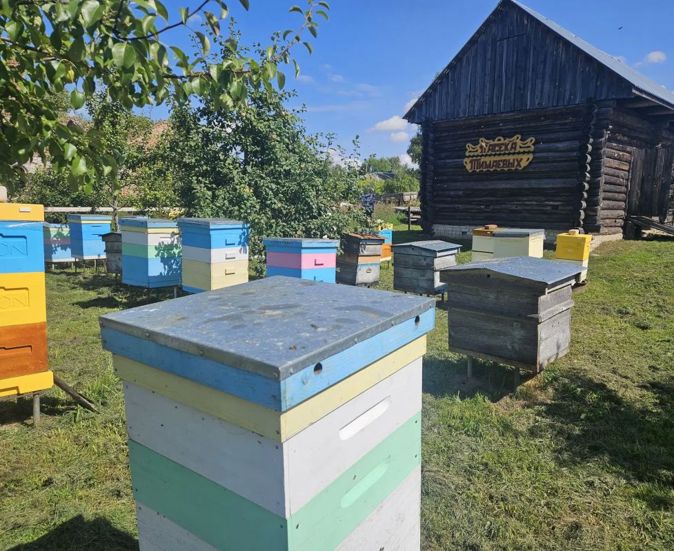 Фермер в Тейковском районе производит восемь видов меда и другую продукцию благодаря господдержке Фермер в Тейковском районе производит восемь видов меда и другую продукцию благодаря господдержке