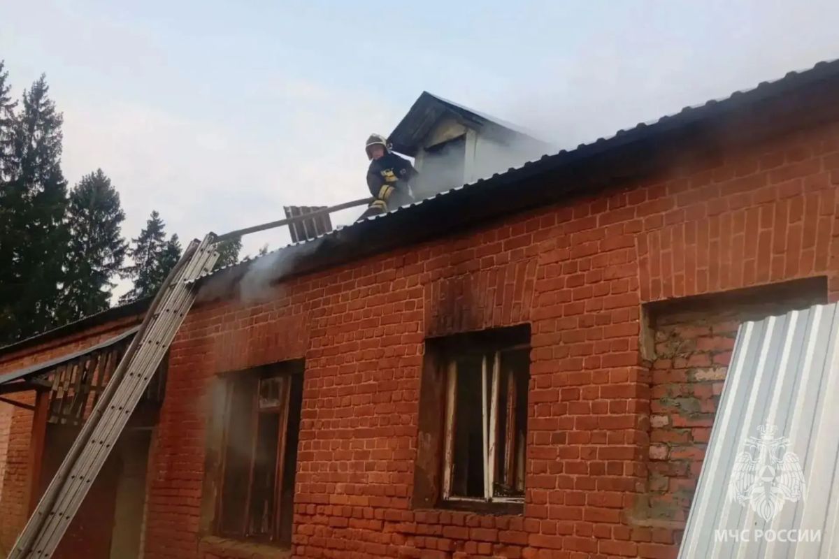 За минувшие сутки пожарно- спасательные подразделения: За минувшие сутки пожарно- спасательные подразделения: