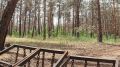 Для разминирования маршрутов в Херсонской области российские сапёры-десантники применяют НРТК «Курьер»