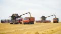 В регионе набирает обороты уборочная кампания