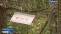 Помочь лесу избавиться от вредителей