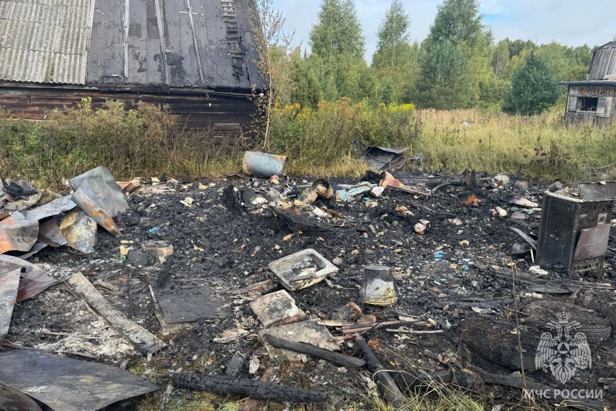 За минувшие сутки пожарно- спасательные подразделения: За минувшие сутки пожарно- спасательные подразделения: