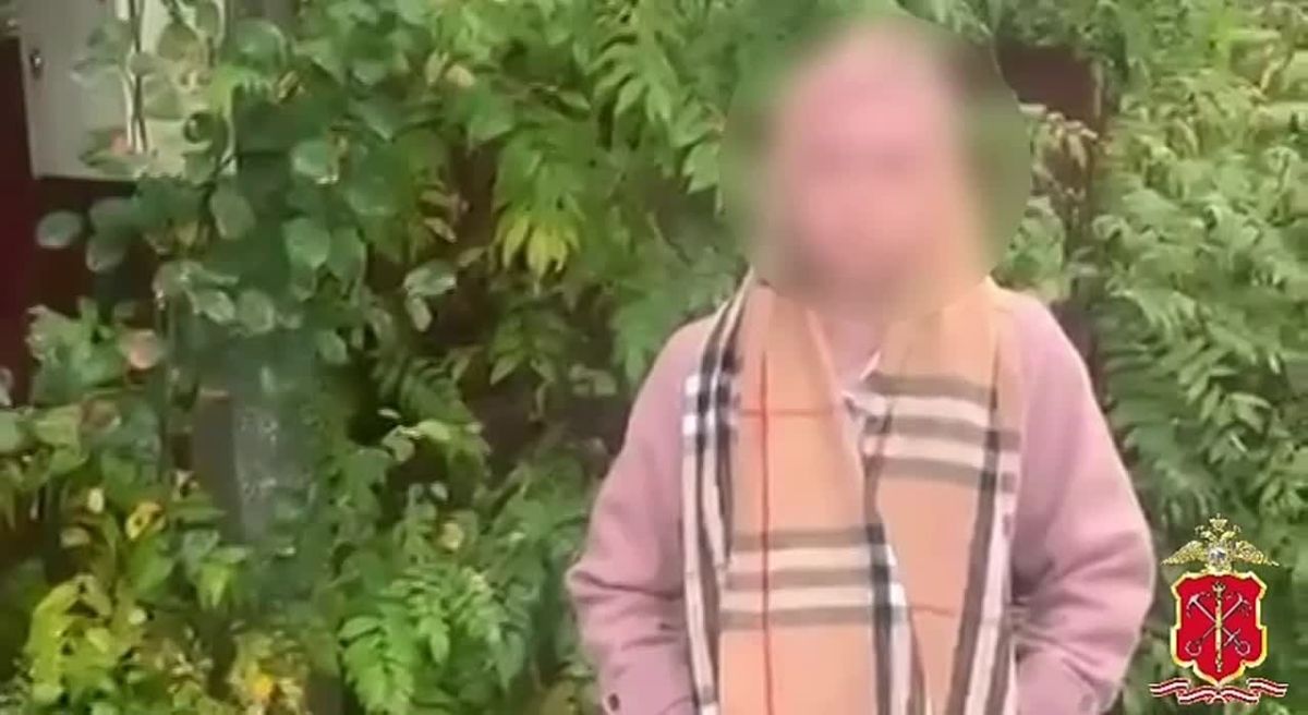 В Санкт-Петербурге по горячим следам задержали двух подозреваемых в краже на 150 миллионов рублей у актрисы Александринского театра Елизаветы Фурмановой