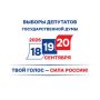 На 20:00 18 сентября явка избирателей на выборы депутатов Государственной Думы девятого созыва в Ивановской области составила 33,79%