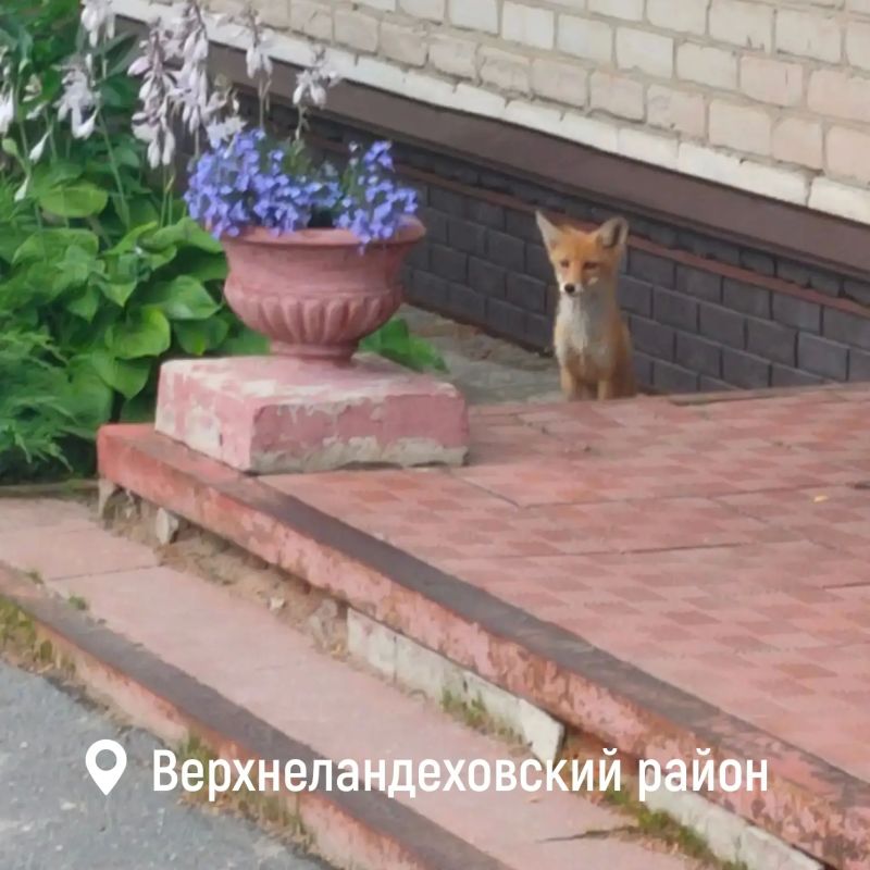 В 20:00 завершился второй день голосования на выборах депутатов Государственной Думы В 20:00 завершился второй день голосования на выборах депутатов Государственной Думы
