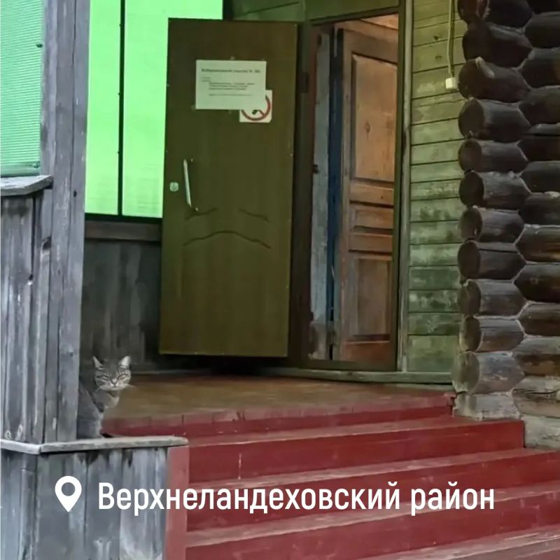 В 20:00 завершился второй день голосования на выборах депутатов Государственной Думы В 20:00 завершился второй день голосования на выборах депутатов Государственной Думы