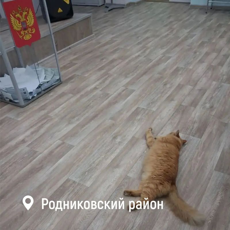 В 20:00 завершился второй день голосования на выборах депутатов Государственной Думы В 20:00 завершился второй день голосования на выборах депутатов Государственной Думы