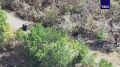 Десантники парализовали снабжение ВСУ под Ореховом