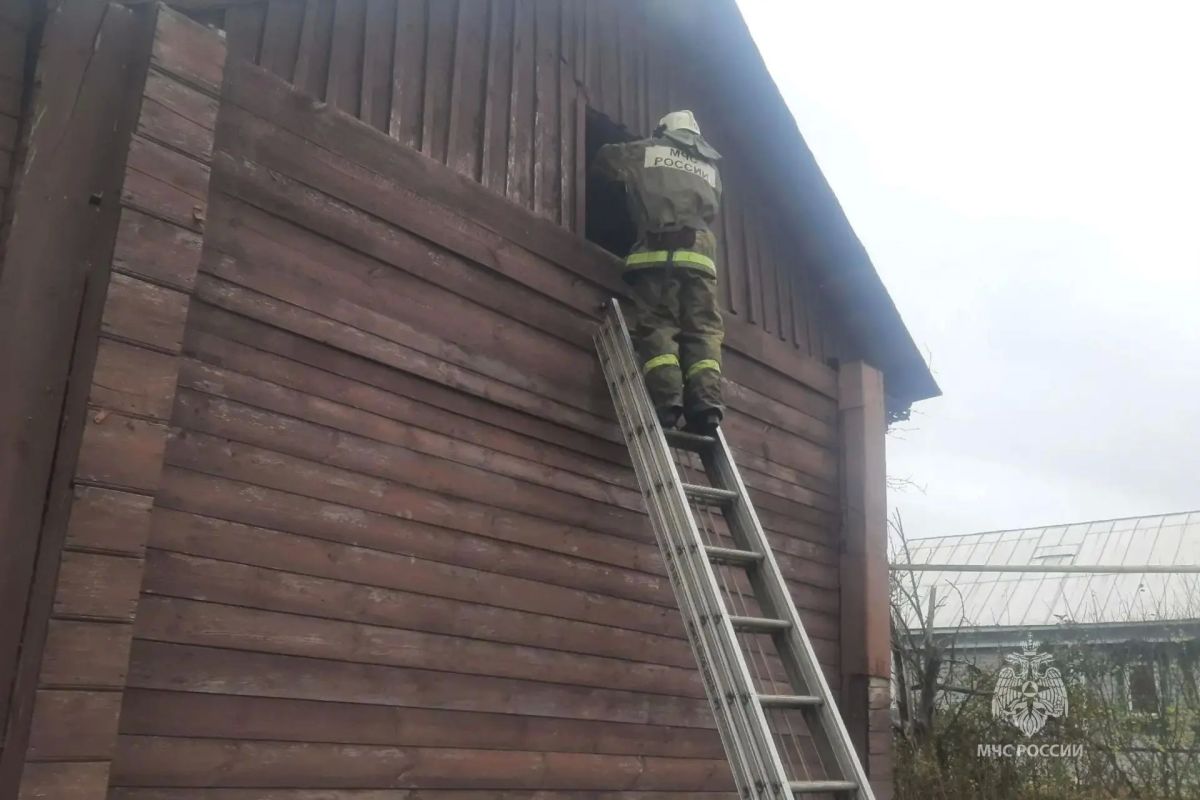 За минувшие сутки пожарно- спасательные подразделения: За минувшие сутки пожарно- спасательные подразделения: