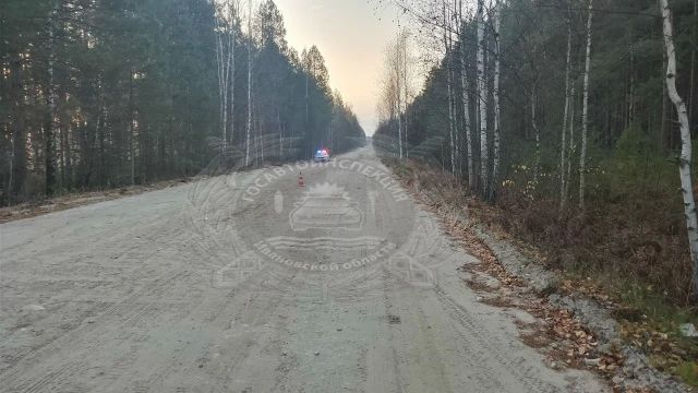 Два пьяных подроста на мопеде и питбайке столкнулись на трассе в Ивановской области